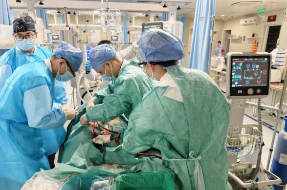 心脏停跳 66 小时！14 天接力救治！ICU 团队与死神博弈，暴发性心肌炎致持续室颤电风暴患者重启「心」生