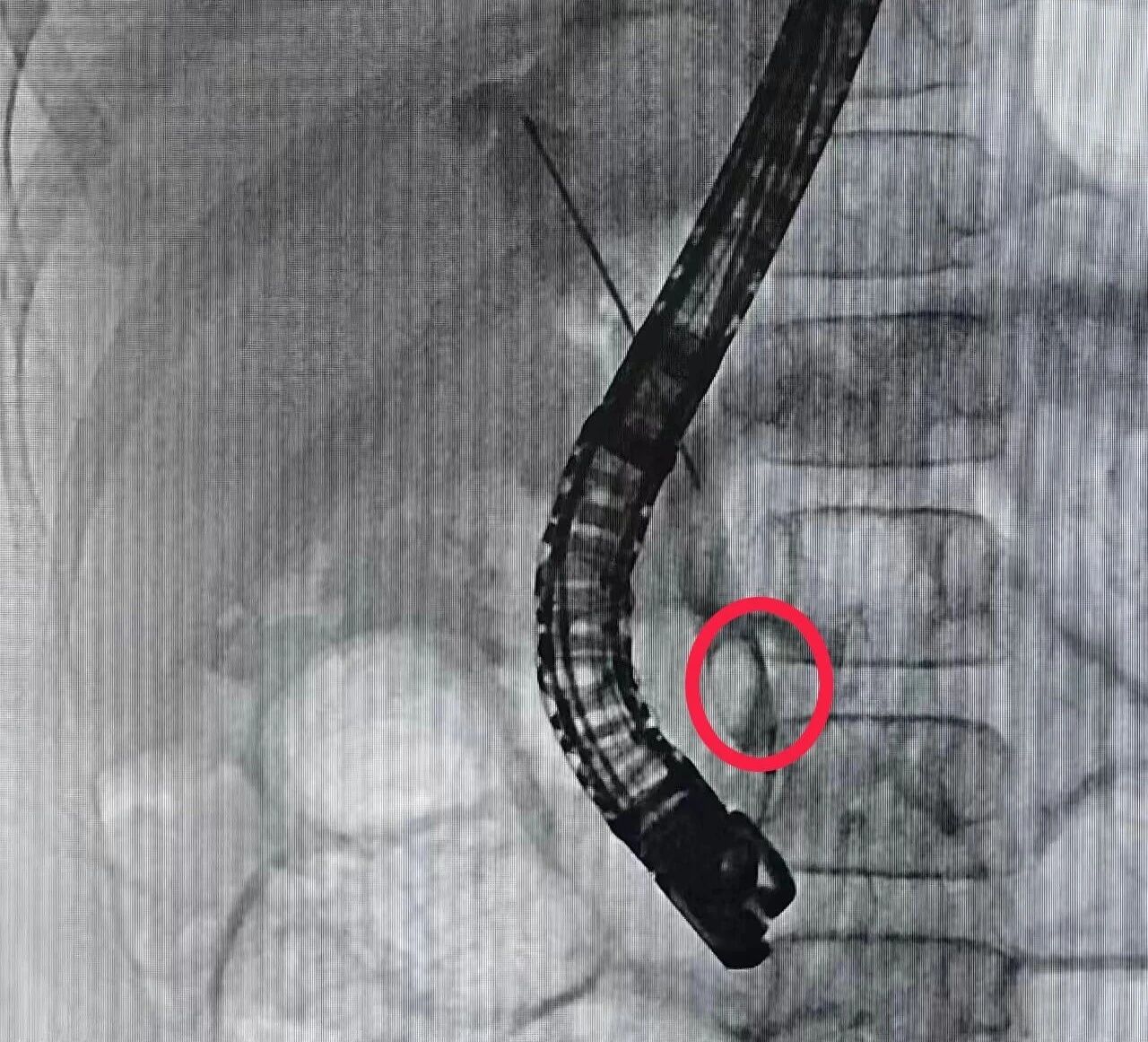 2939181286386665991.jpg?file=752925168