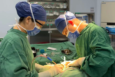 广西中医药大学一附院微创术为高位复杂性肛瘘患者「拆隧道」保肛门功能