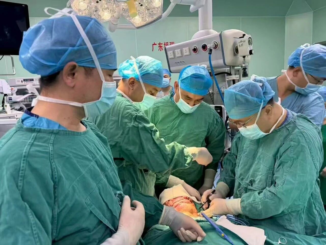 2910613762234375991.jpg?file=753054167