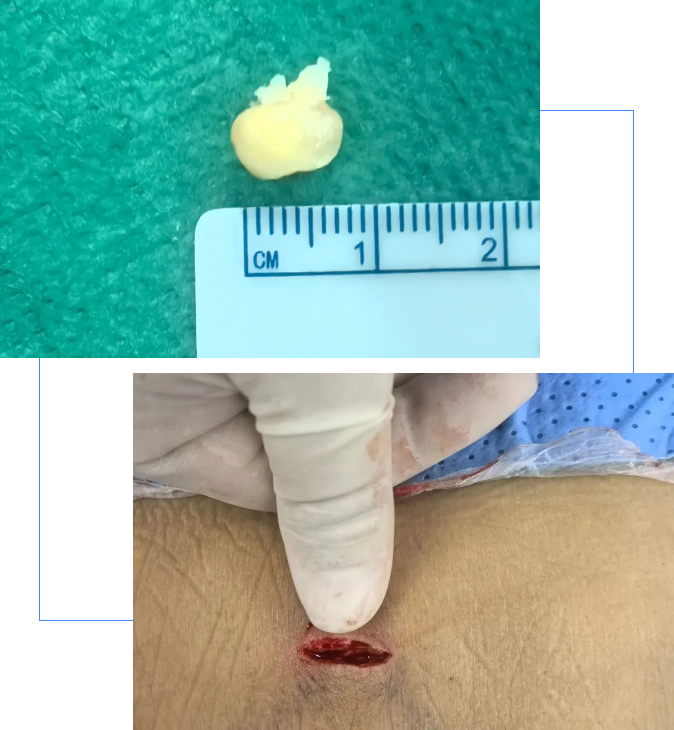 4682356890330765991.png?file=752929796