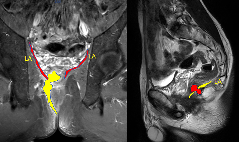 0445615773783965991.png?file=752984514