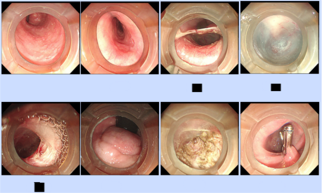 8885698833365375991.png?file=753055743