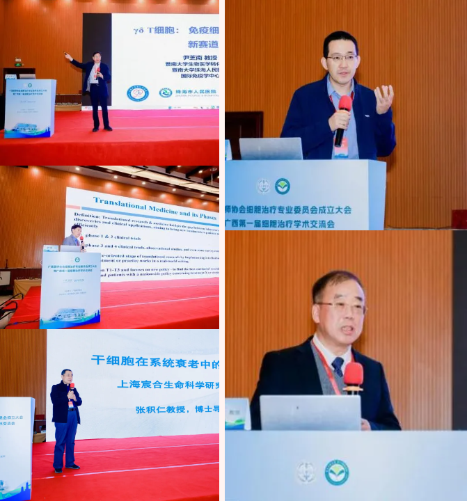 2118759347786286991.png?file=754762634