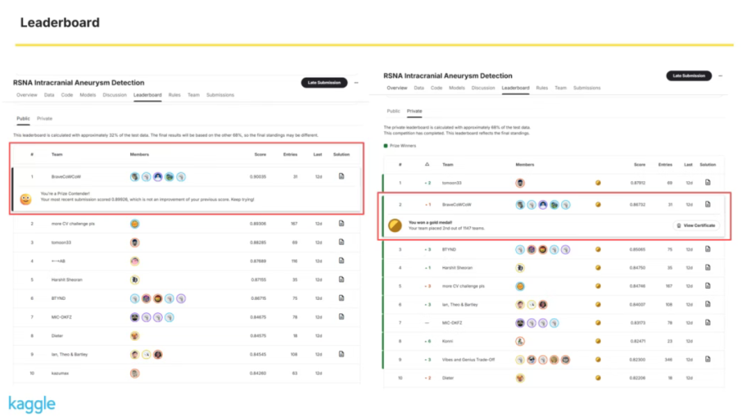 一脉阳光赋能影禾医脉,斩获 RSNA 颅内动脉瘤 AI 挑战赛全球亚军