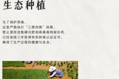 一脉阳光启动「光育万物」计划：以医学影像与助农双轨联动，照亮基层健康之路
