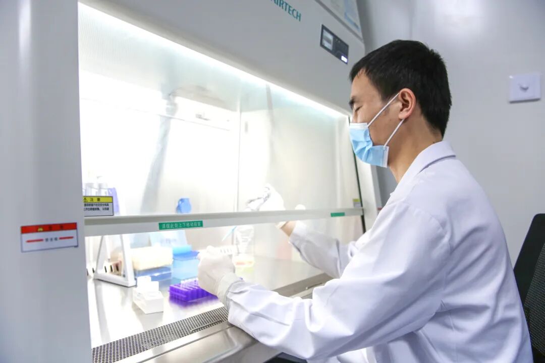 江湾小课堂:中国夫妻生下「洋娃娃」!背后秘密竟是…