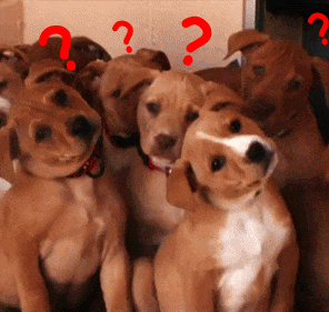 男科候诊区的男人们都在做什么?