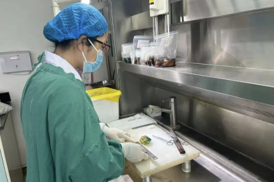 黔康康带你走进「医生的医生」：病理科的显微镜，如何点亮生命微光？