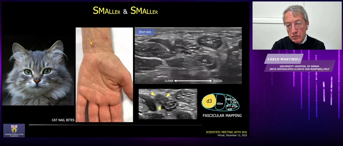 聚中欧医研之力 融医疗级深度检 ——「探肌寻声」肌骨超声诊断研讨会于上海全景圆满举行