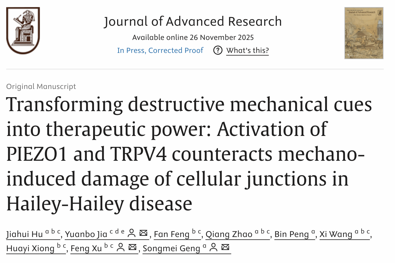 耿松梅教授团队发现慢性家族性良性天疱疮疾病的力学治疗新策略