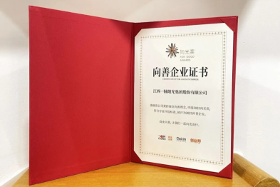 共生共荣，向善向光 | 一脉阳光荣获 2025 向光奖