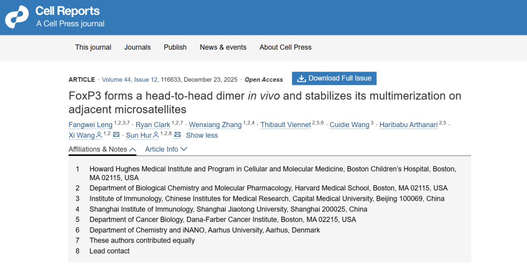 冷方伟破解免疫开关!FoxP3 头对头二聚体锁定 Tregs 调控密码