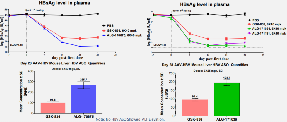 AASLD2025 丨 Aligos 与特宝生物联合开发同类最佳 ASO 药物,临床前数据亮眼