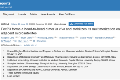 冷方伟破解免疫开关！FoxP3 头对头二聚体锁定 Tregs 调控密码