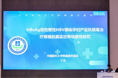【会议撷萃】丁洋教授：HBeAg 阳性慢性 HBV 感染孕妇产后抗病毒治疗策略的真实世界观察性研究