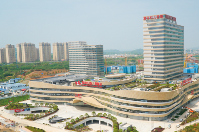 5 年求子难？这次换刘冬娥教授帮她减重 20 斤再试管，终于怀上！