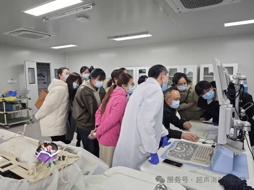 第 148 期聚焦超声消融手术培训班圆满结业，重庆暖冬见证医者同心，蓄力 2026 再启新程！