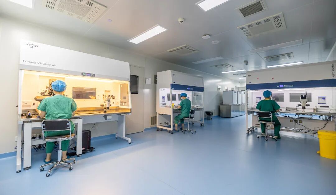 合肥京东方医院生殖医学有「喜」了！首例「试管婴儿」成功妊娠！