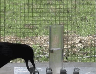 屁股里的「定时炸弹」，啥时候爆炸？