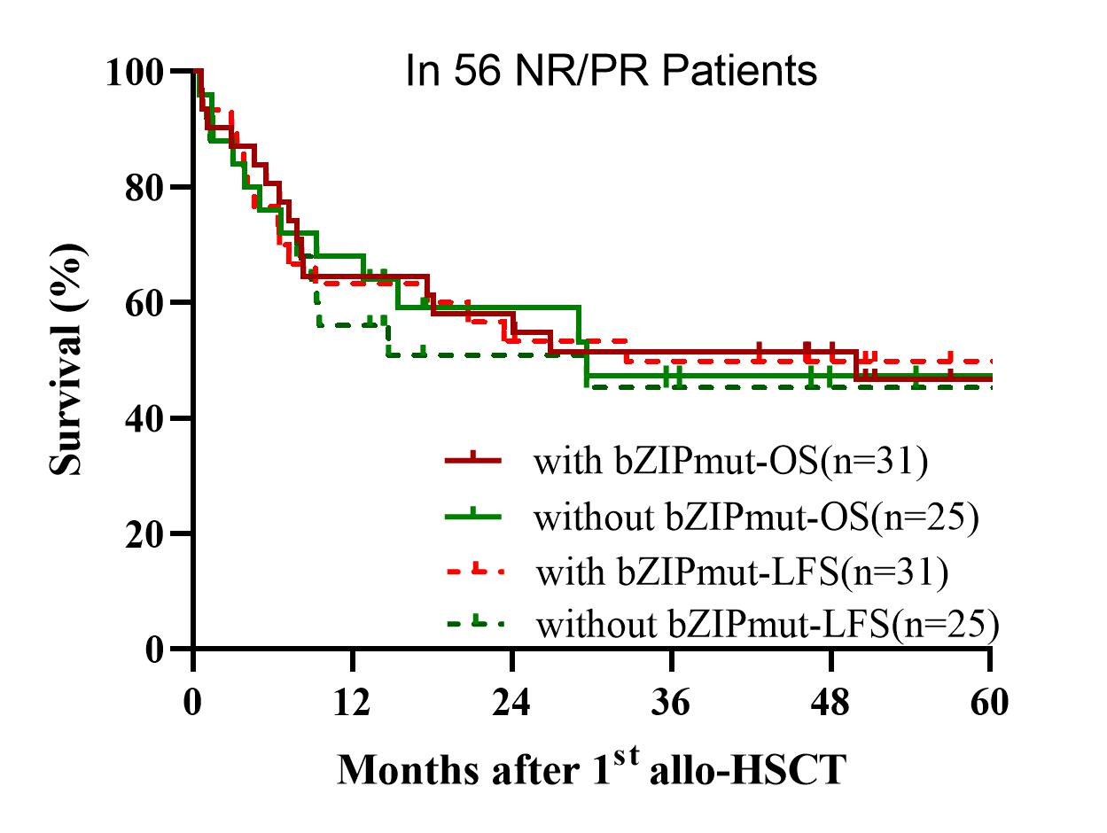 ASH 2025 丨赵艳丽/赵玮：异基因造血干细胞移植在 AML 及 AA 中的疗效与策略启示