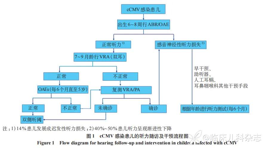 婴幼儿听力障碍：从精准诊断、个体化干预到系统性随访