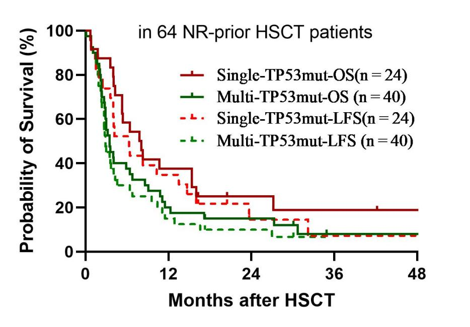 ASH 2025 丨赵艳丽/赵玮：异基因造血干细胞移植在 AML 及 AA 中的疗效与策略启示