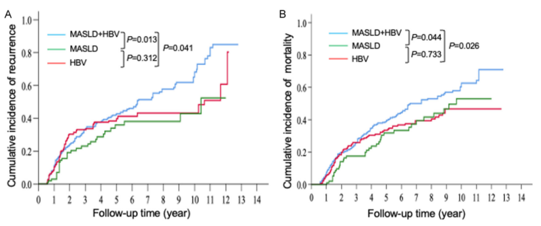 【期刊导读】新证据：MASLD 与慢乙肝共存显著增加肝癌术后复发及死亡风险