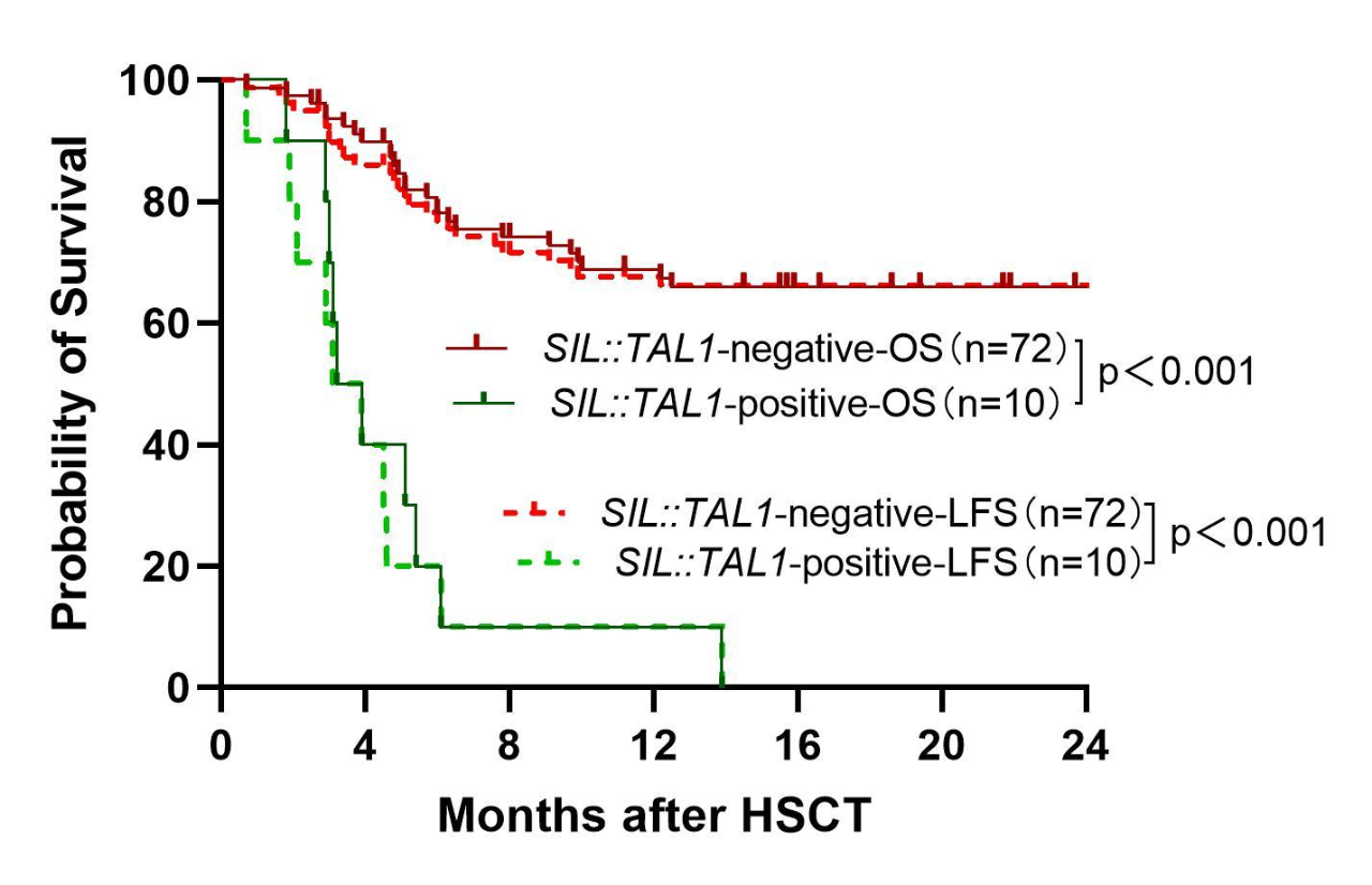 ASH 2025 丨 刘德琰/刘晓红：异基因造血干细胞移植治疗 82 例伴 SIL::TAL1 阳性 T-ALL/LBL 患者疗效分析