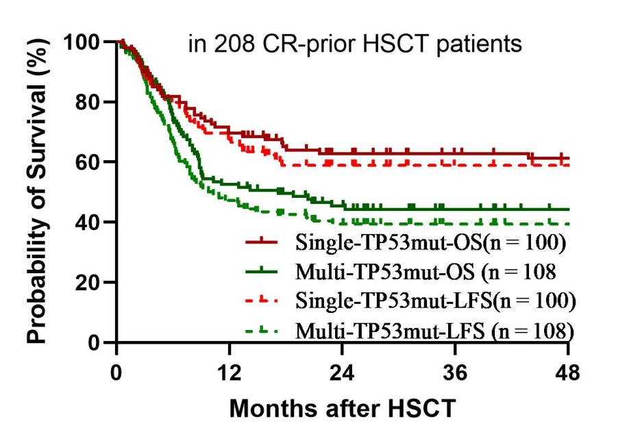 ASH 2025 丨赵艳丽/赵玮：异基因造血干细胞移植在 AML 及 AA 中的疗效与策略启示