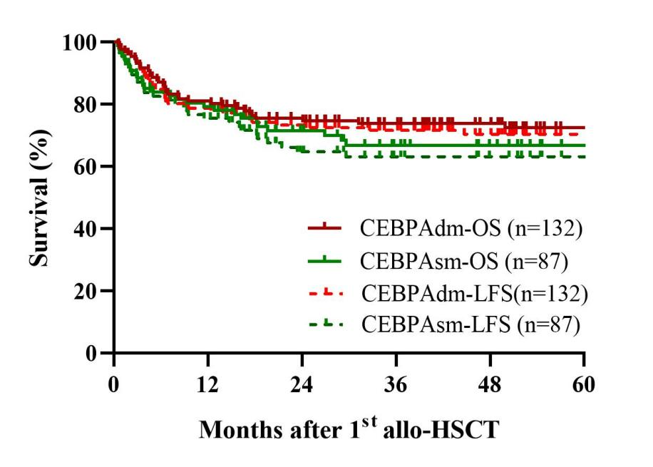 ASH 2025 丨赵艳丽/赵玮：异基因造血干细胞移植在 AML 及 AA 中的疗效与策略启示