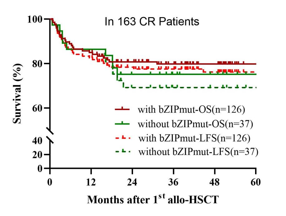 ASH 2025 丨赵艳丽/赵玮：异基因造血干细胞移植在 AML 及 AA 中的疗效与策略启示