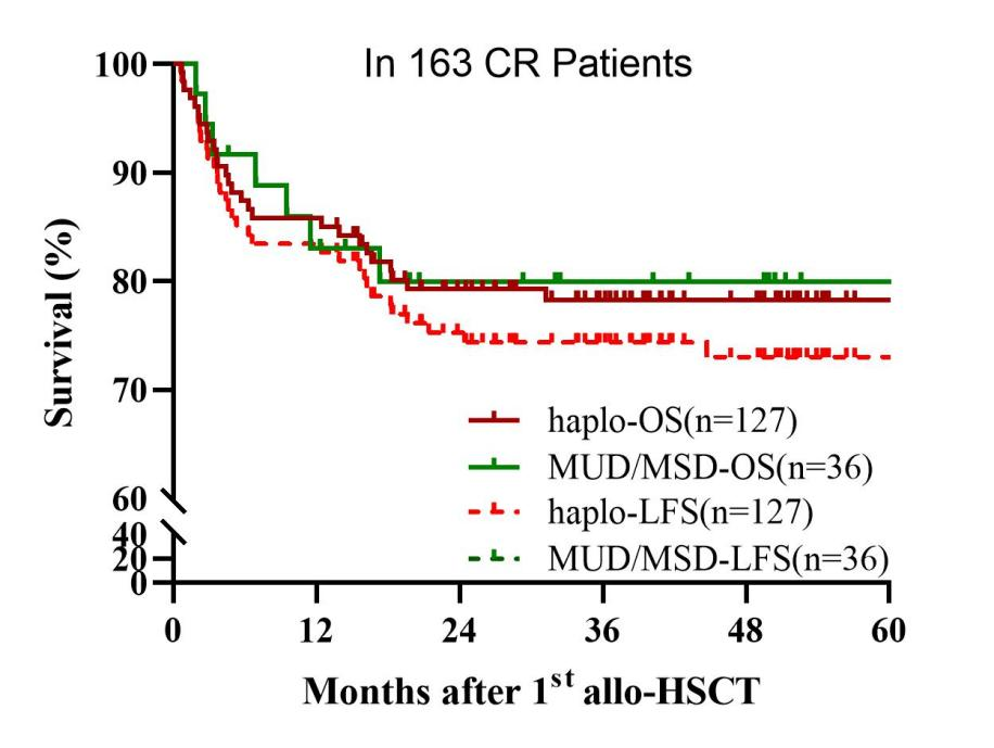 ASH 2025 丨赵艳丽/赵玮：异基因造血干细胞移植在 AML 及 AA 中的疗效与策略启示