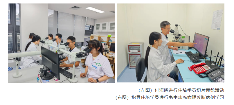 以勤为笔诊病理，以廉为尺守医魂——勤廉榜样付海晓医生的初心守望