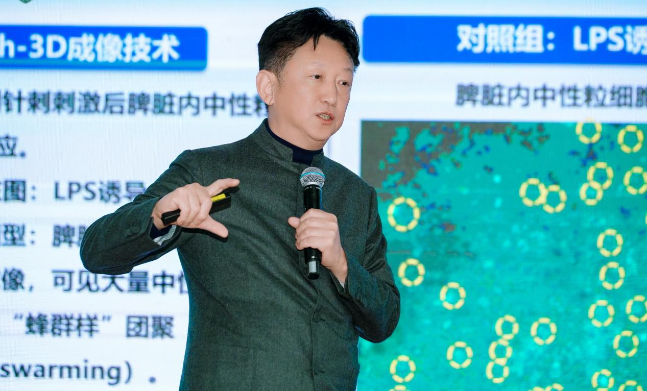 既论道又愈人！全国名家鹏城论道，赋能中西医结合医疗高质量发展