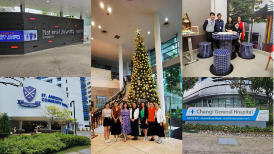 聚力启航护理高质量发展新篇章丨护理管理专项提升班