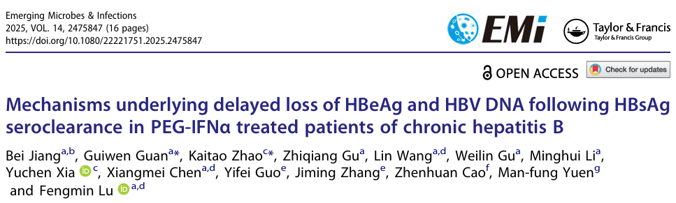 机制探索：获得 HBsAg 清除后，为何部分患者的 HBeAg/HBV DNA 仍呈阳性？