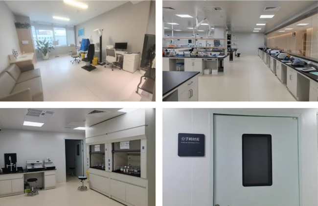 重磅!辽宁爱尔眼科沈阳市专家工作站正式获批 多学科协同破解疑难眼底病诊疗难题