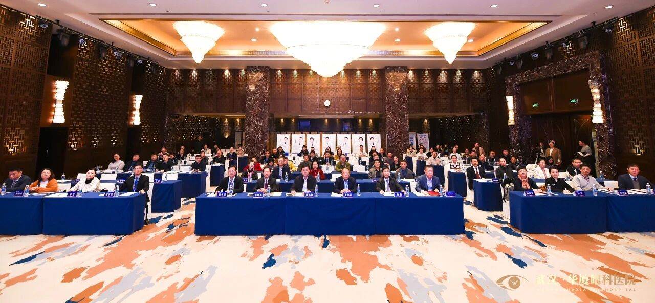 感恩同行、睛彩周年丨这一年,我们为您做了什么?