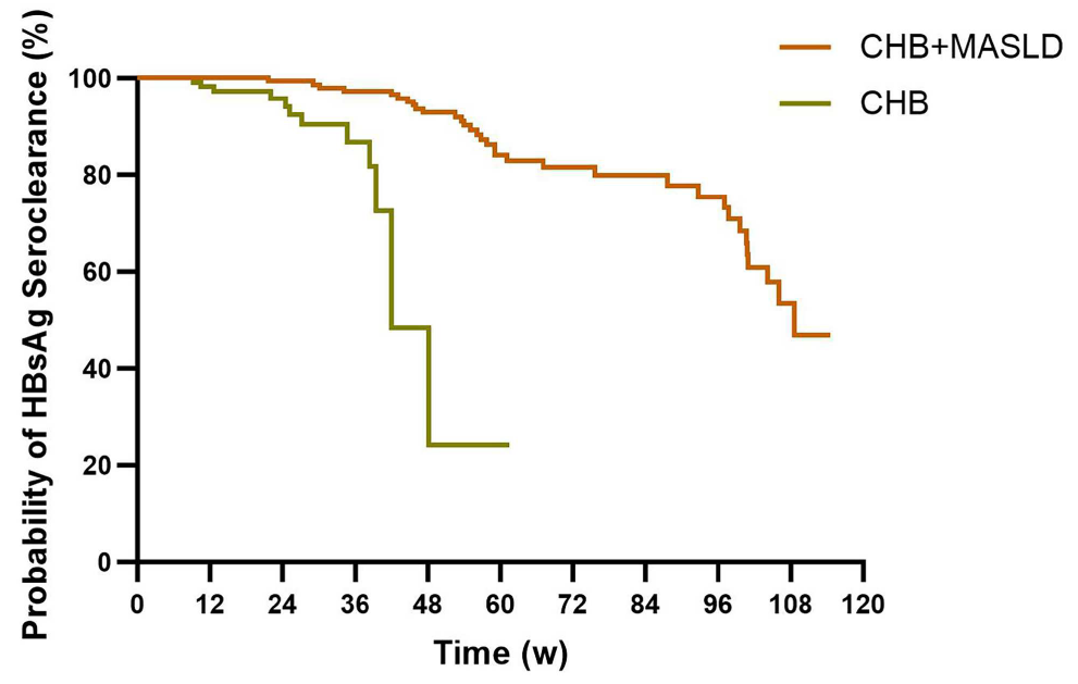 AASLD2025 丨多项研究探索:合并 MAFLD/MASLD 对慢乙肝患者治疗应答的影响