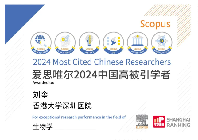 2025 年度时刻：彰显「韧性」的力量