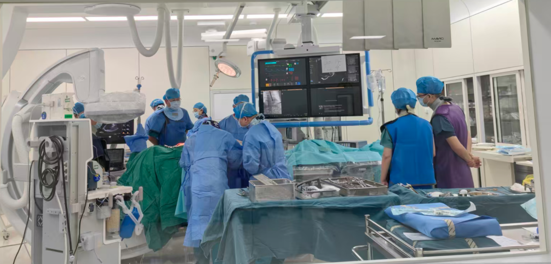 2026 奋斗开篇丨党建引领护健康,智慧服务启新程