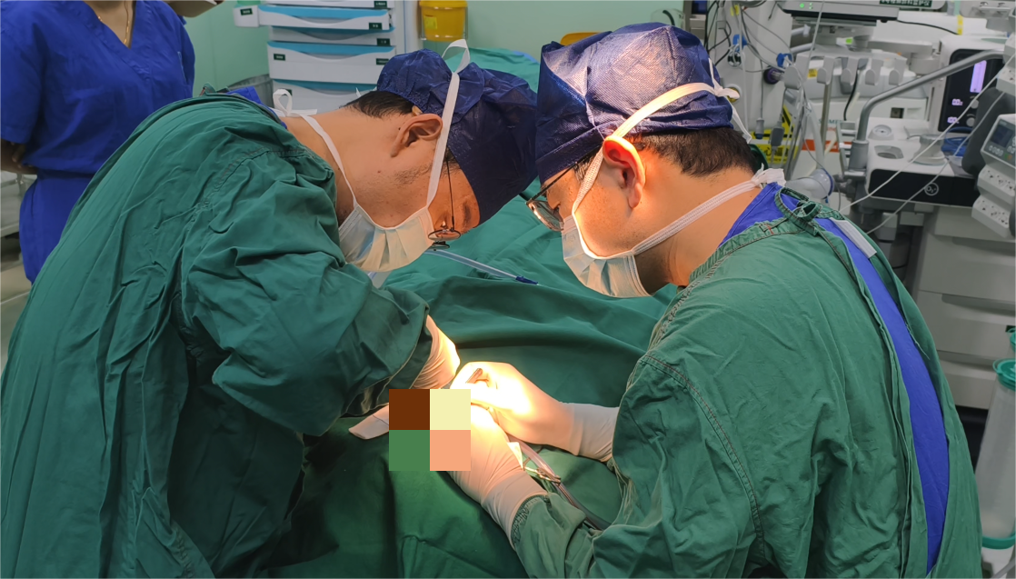 男童遭宠物狗咬伤耳廓缺损 医生精修成功还原