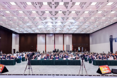 实力绽放！上大附属上海和平眼科医院载誉 2026「海上之光」盛会