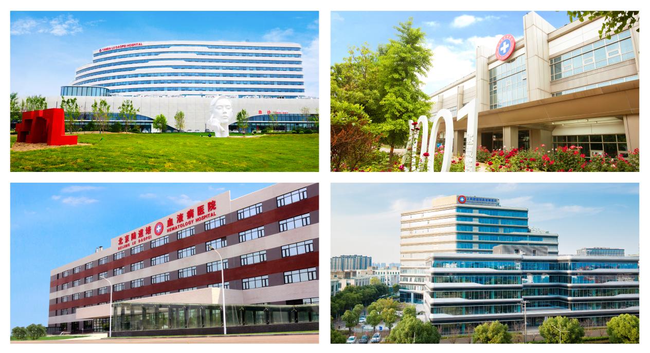 向难而行,稳中致远:陆道培医学团队 2025 年造血干细胞移植突破 1662 例