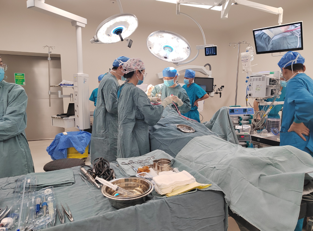 脑机接口技术已经临床应用于治疗帕金森病等神经功能疾病