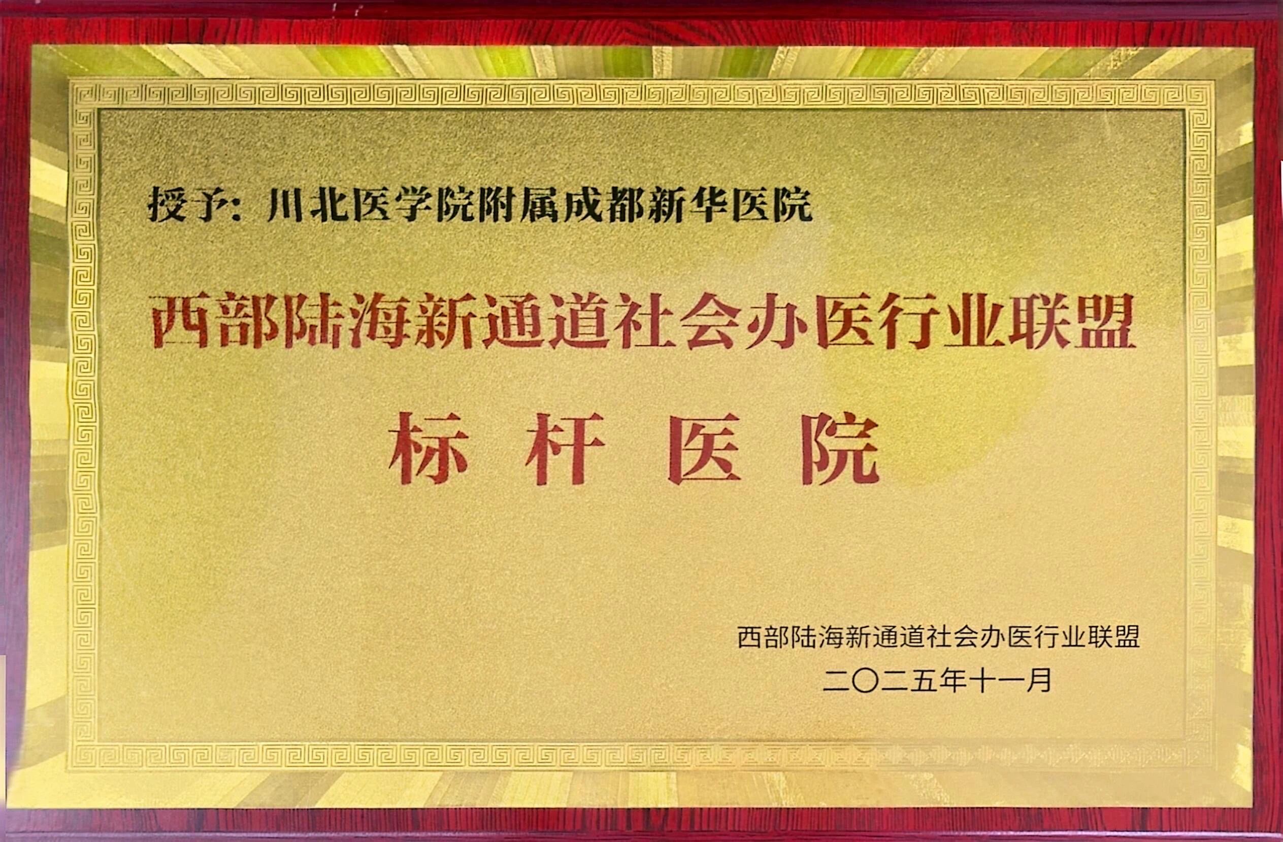 2025・仁心笃行 | 成都新华医院年度大事记