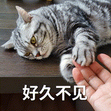 「肠」治久安，「肛」好有你：肛肠健康全知道