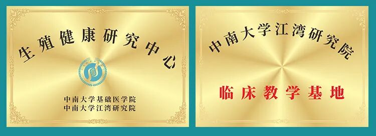 深耕产学研 赋能新未来——江湾 2025 年度拾光