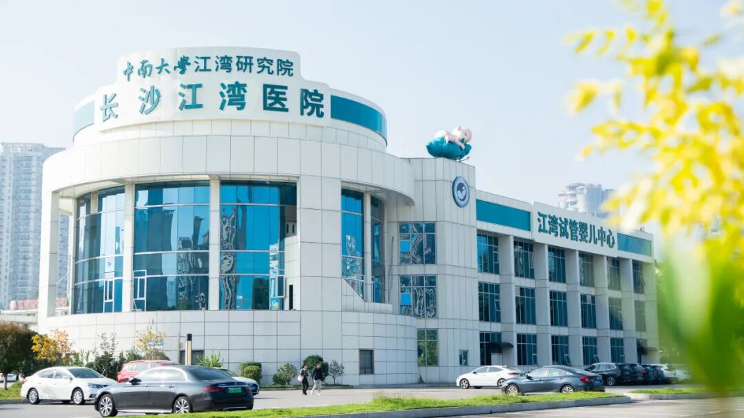 深耕产学研 赋能新未来——江湾 2025 年度拾光